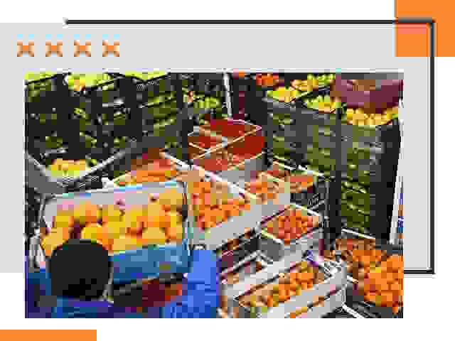 Перевозка скоропортящихся продуктов в Сергиевом Посаде